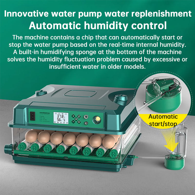 Automatic 24 To 36 Egg Incubator With Auto Turner And Temp Control