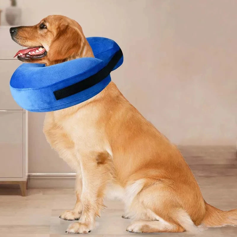 Inflatable Pet Recovery Collar