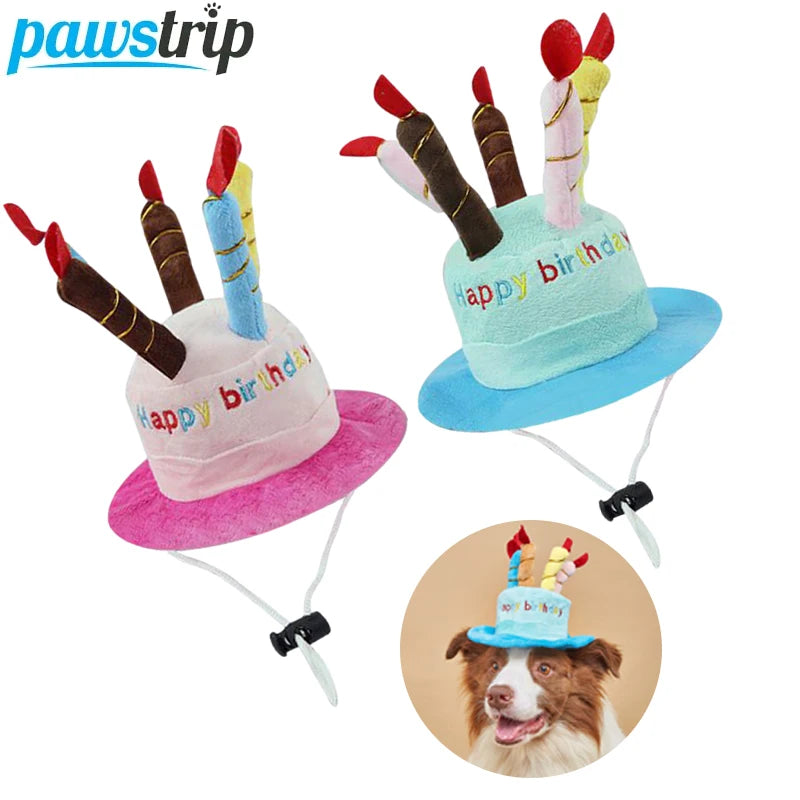 Pet Birthday Party Hat