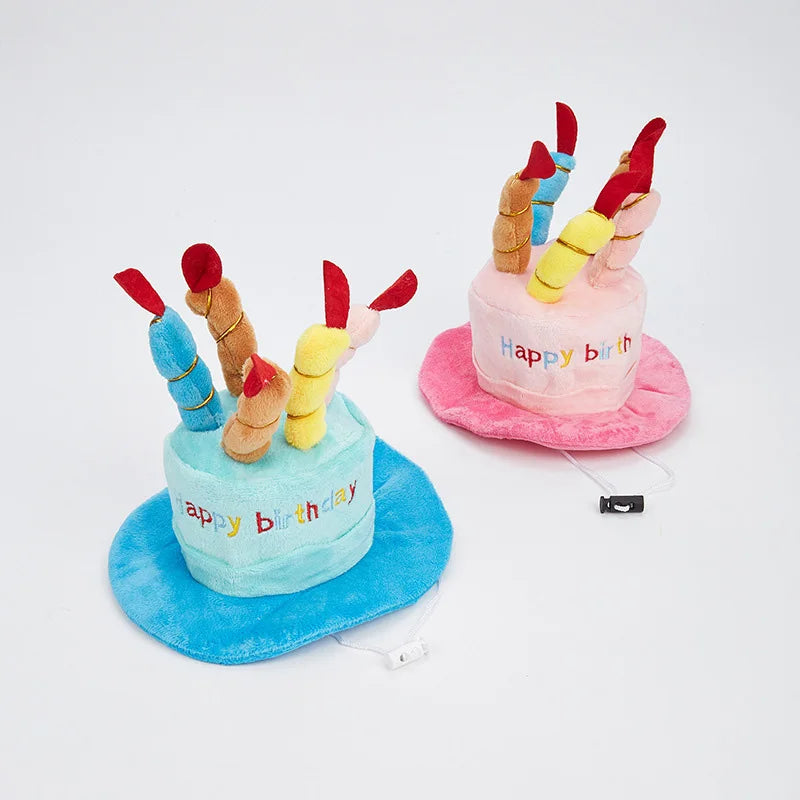 Pet Birthday Party Hat