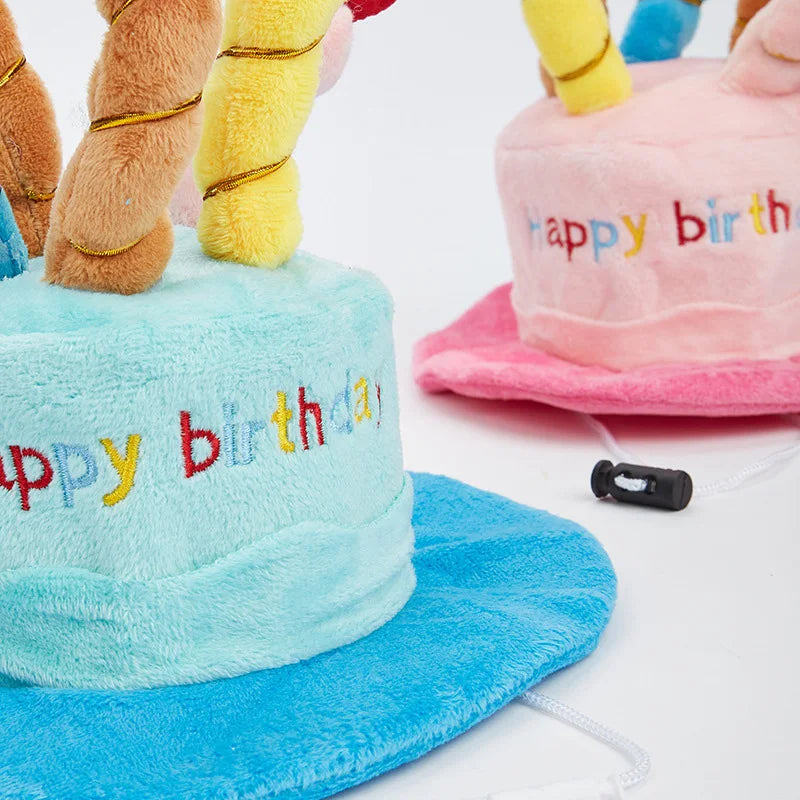 Pet Birthday Party Hat