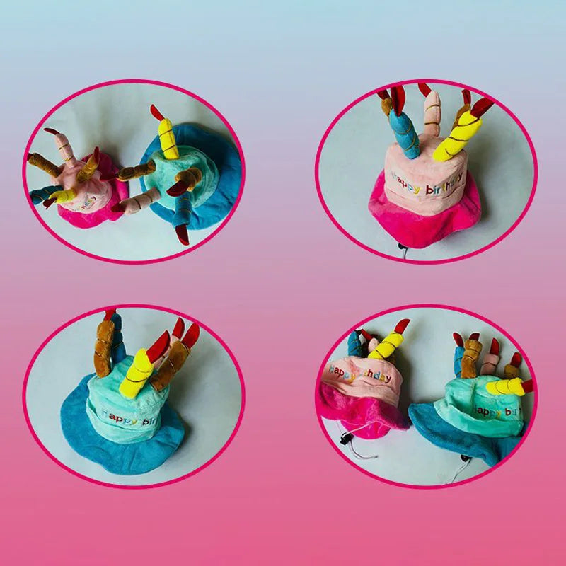 Pet Birthday Party Hat