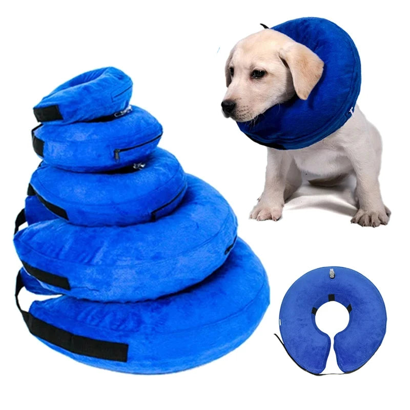 Inflatable Pet Recovery Collar