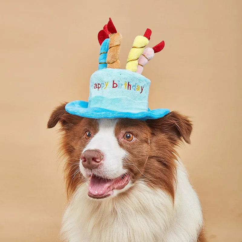 Pet Birthday Party Hat