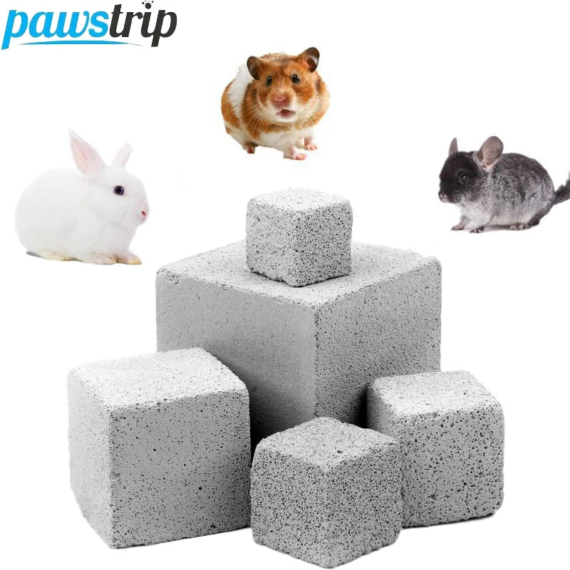 Small Pet Dental Stones