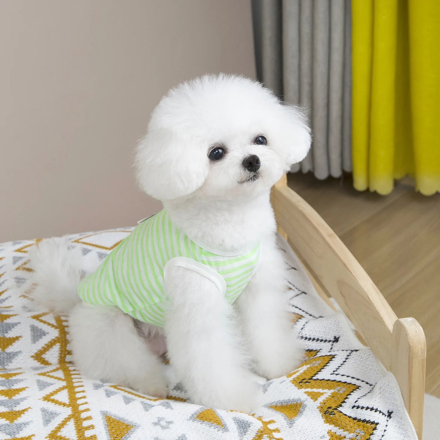 Dog Vest Soft Breathable Dog Clothes for Small Medium Dogs Cats Cute Puppy T-shirt Chihuahua Bichon Teddy Clothing