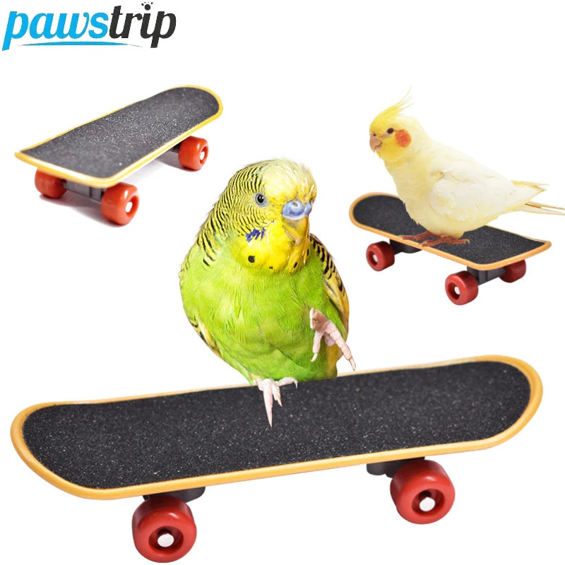 Mini Parrot Training Skateboard