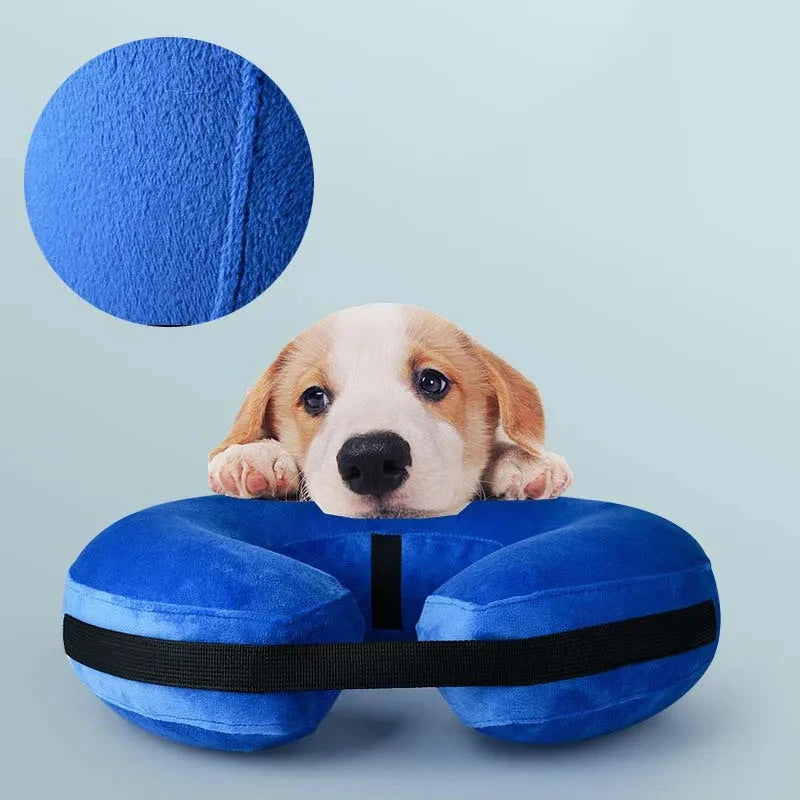 Inflatable Pet Recovery Collar