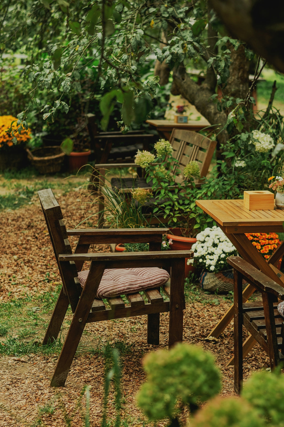 Wooden chairs and table in a lush garden setting