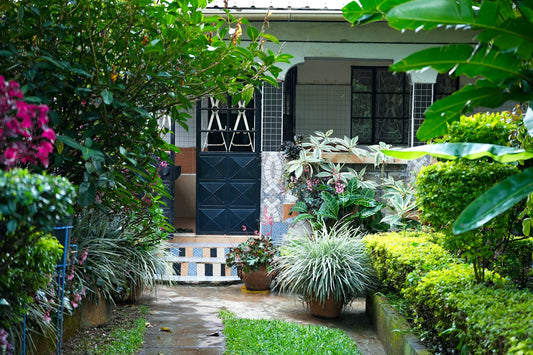 Lush green garden path leading to a house entrance