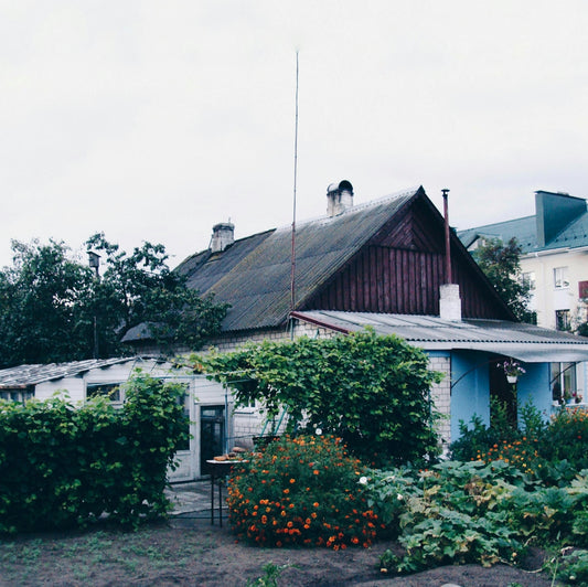 Rustic house with overgrown garden and blooming flowers