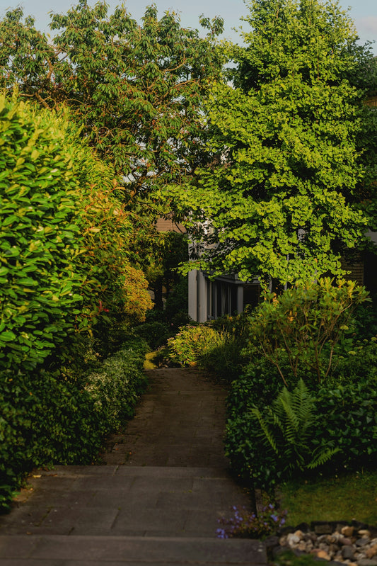 A pathway leads through a lush green garden