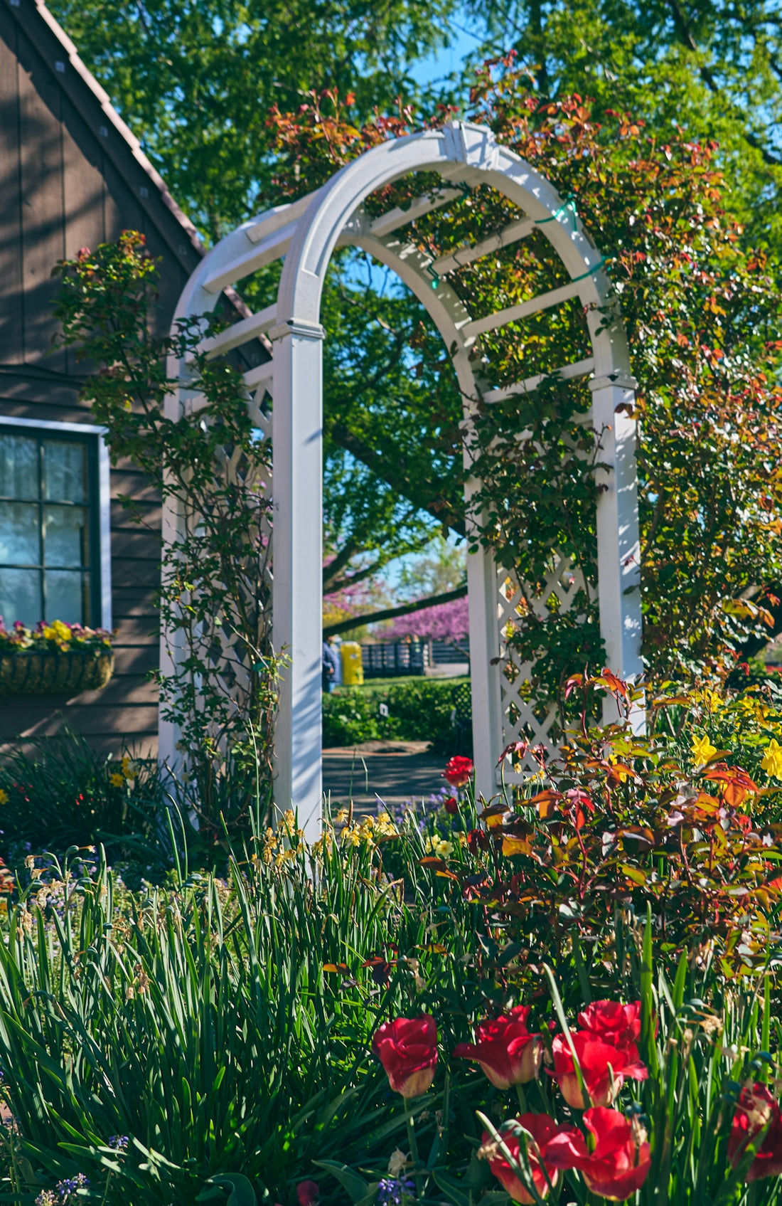 White archway leading to a colorful garden with blooming flowers