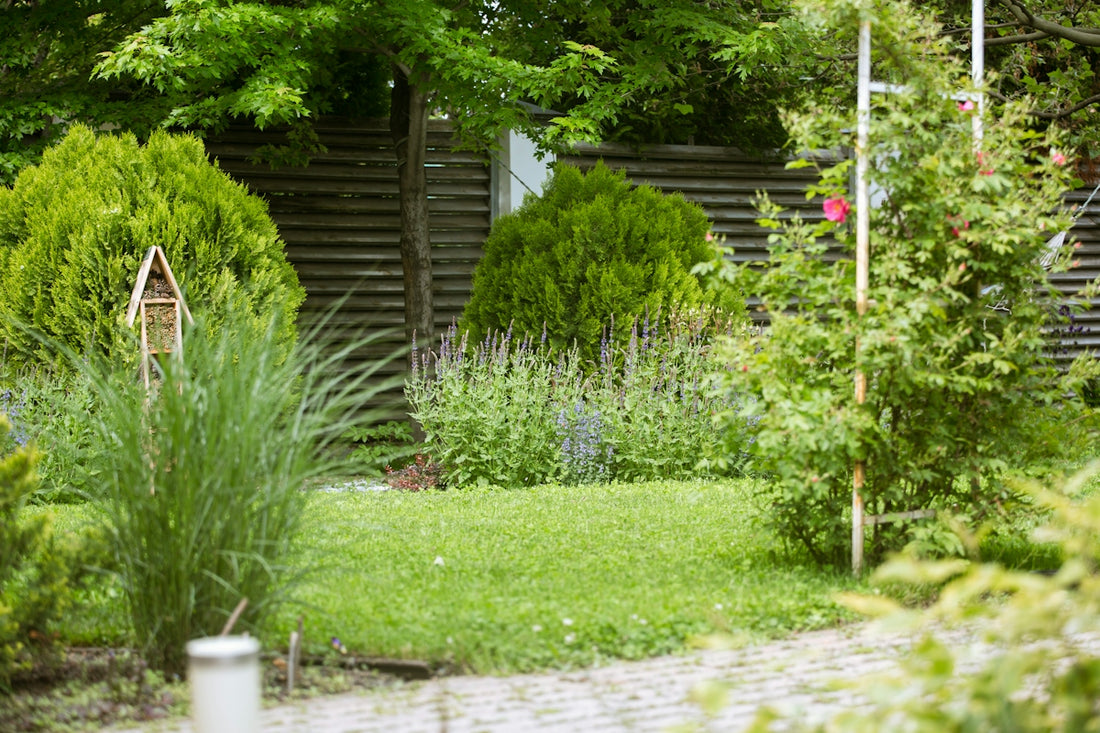 Green garden with diverse plants, a birdhouse, and stone path