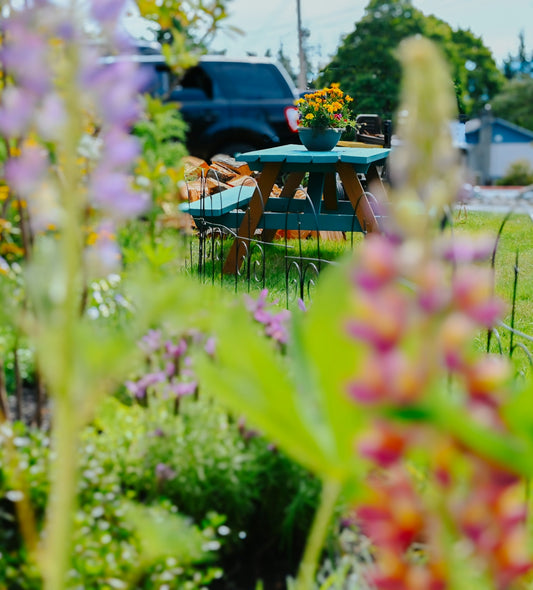 A small teal picnic table with a flower pot in a grassy garden
