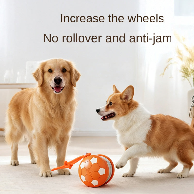 Smart Rolling Ball Dog Toy World Cup Edition Interactive Blue Orange