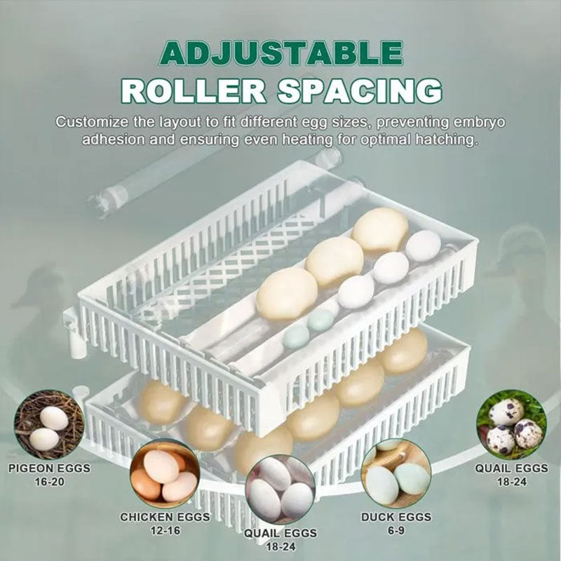 24 Egg Incubator Automatic Turner Digital Touchscreen Poultry Hatchery Device