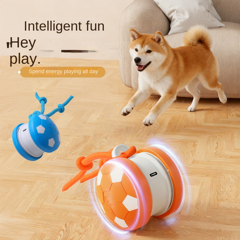Smart Rolling Ball Dog Toy World Cup Edition Interactive Blue Orange