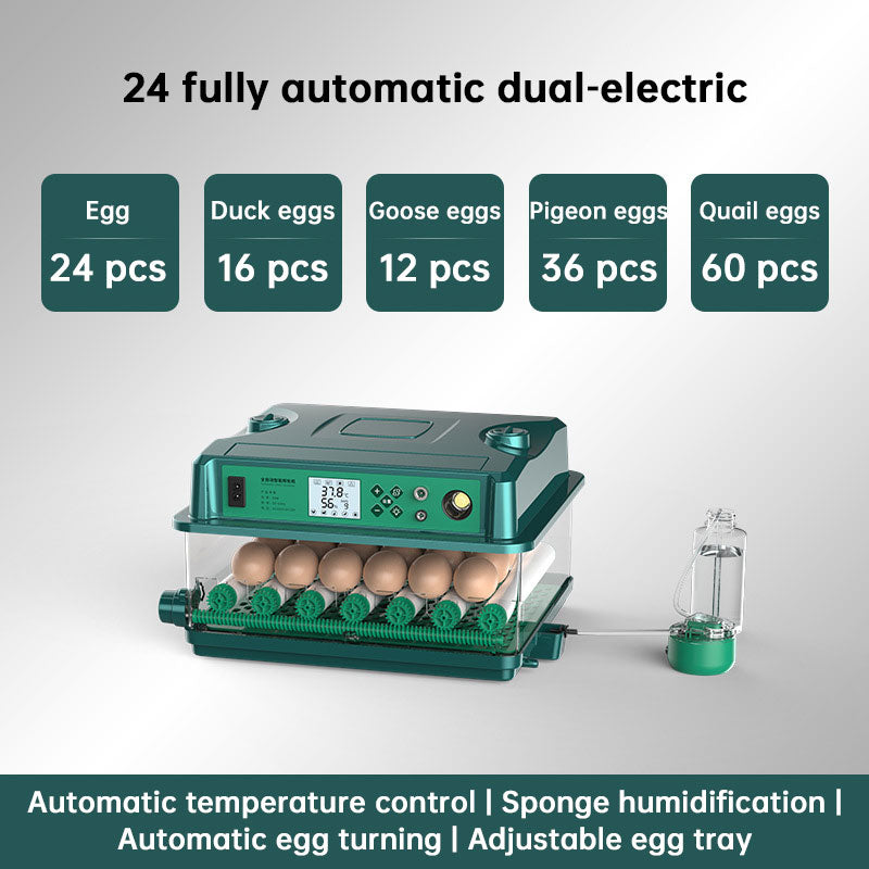Automatic 24 To 36 Egg Incubator With Auto Turner And Temp Control