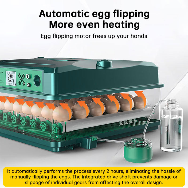 Automatic 24 To 36 Egg Incubator With Auto Turner And Temp Control