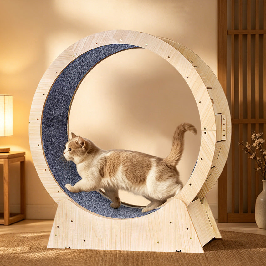 Large Multi Layer Cat Running Wheel For Indoor Exercise And Fitness