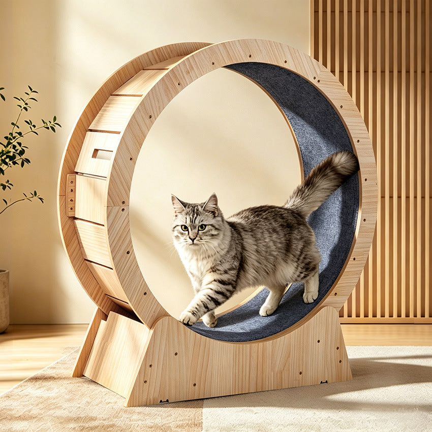Large Multi Layer Cat Running Wheel For Indoor Exercise And Fitness