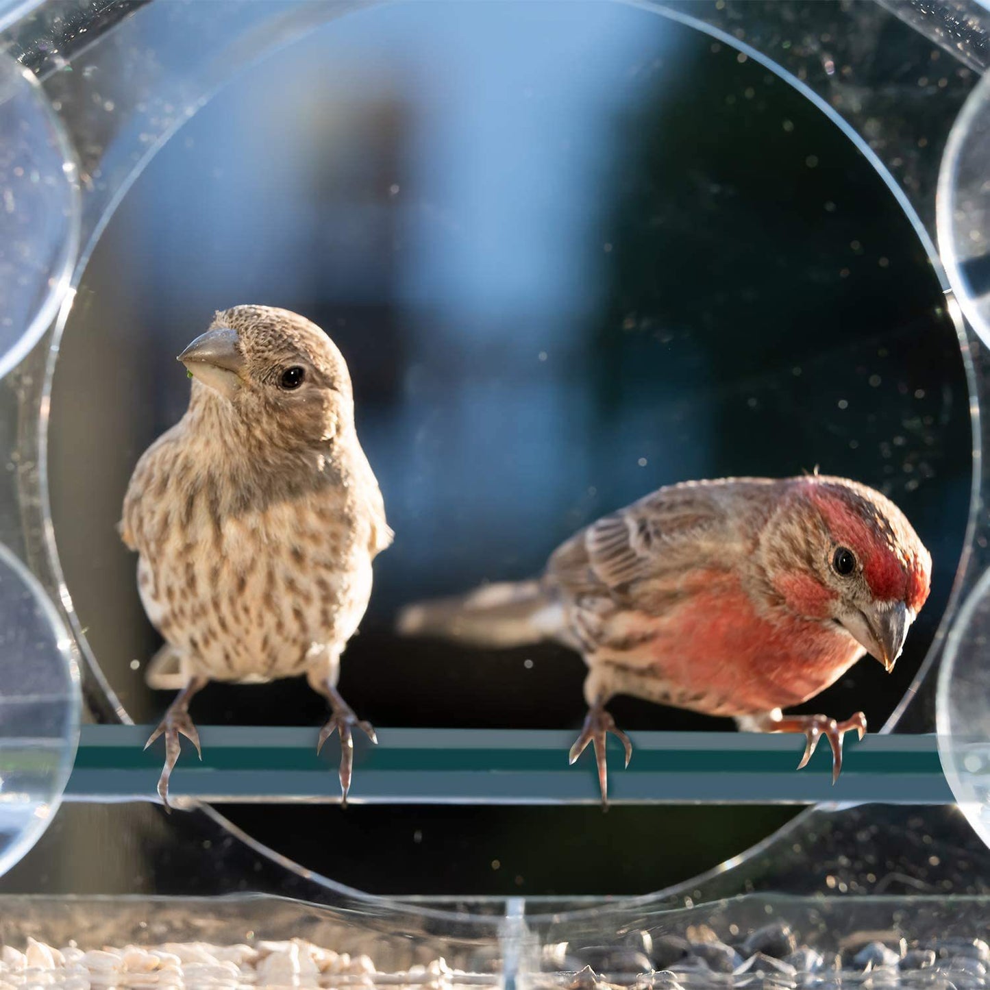 Kunteng Acrylic Bird Feeder House Shaped Double Layer Pet Dish
