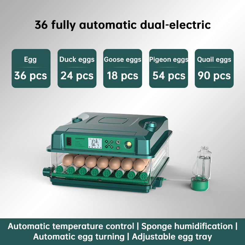 Automatic 24 To 36 Egg Incubator With Auto Turner And Temp Control