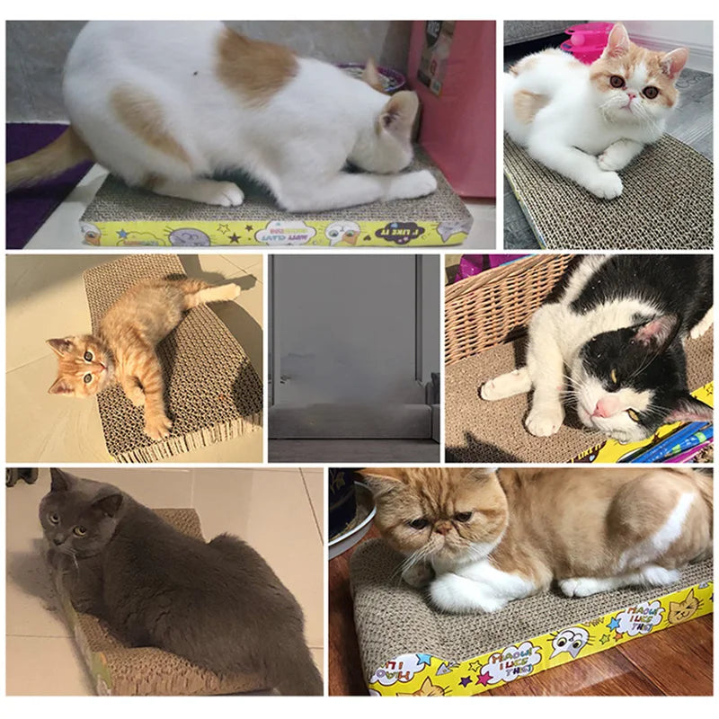 Corrugated cardboard cat scratcher.