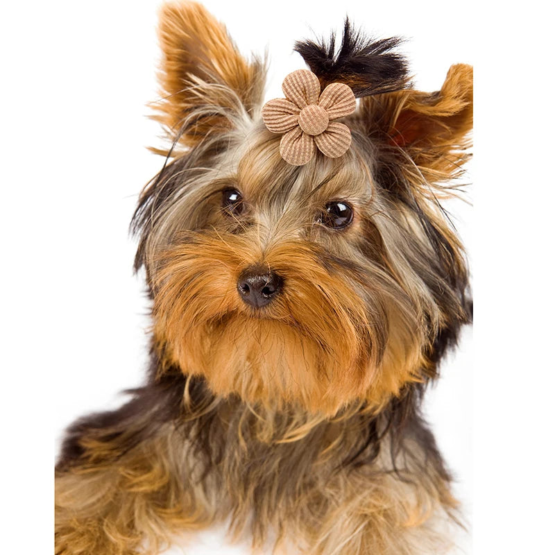 10pcs/set  Flower Pet Dog Bow Decoration with Rubber Band Head Flower Puppy Dog Hair Bowknot Grooming Accessories