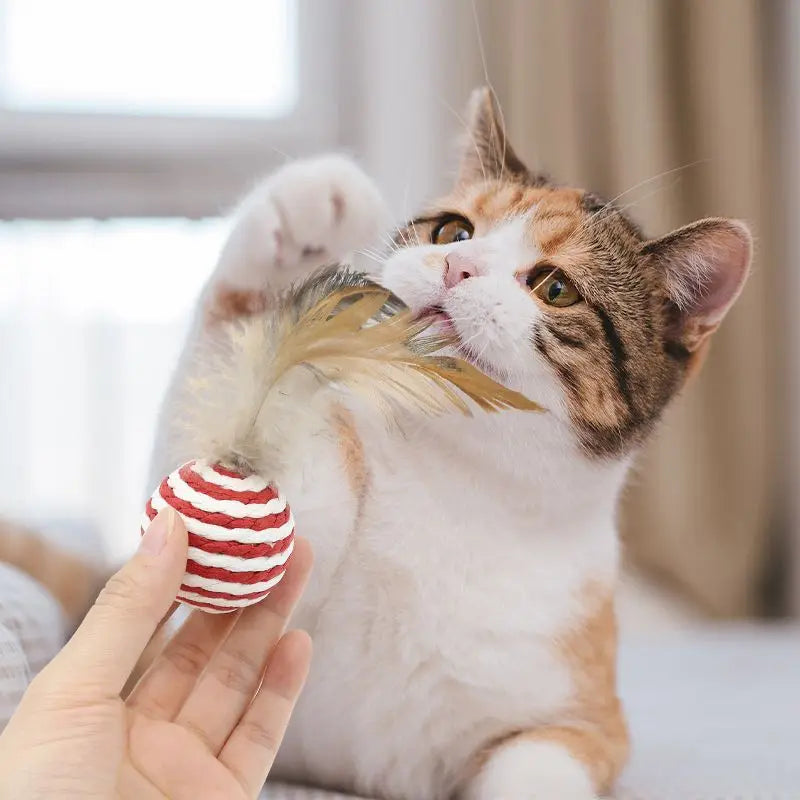 3/5/10 PCs Cat Feather Toys Interactive Cat Sisal Balls Funny Kitten Tease Toy Random Color Pet Cat Boredom Relief Toys