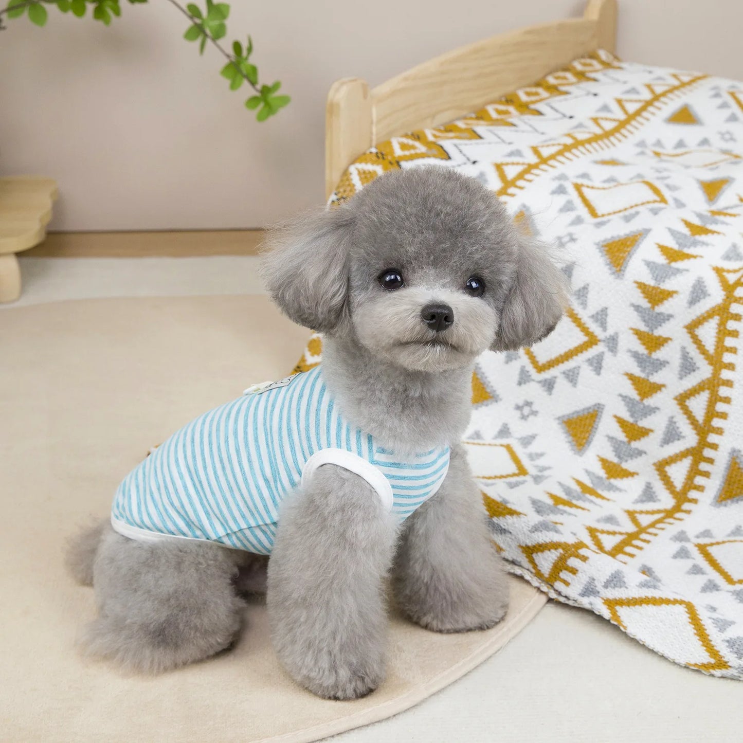 Dog Vest Soft Breathable Dog Clothes for Small Medium Dogs Cats Cute Puppy T-shirt Chihuahua Bichon Teddy Clothing
