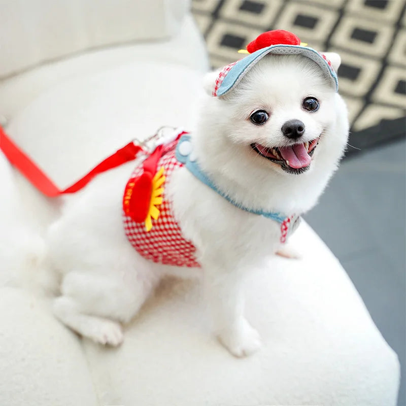 3 PCs/Set Dog Harness Adjustable Puppy Leash with Hat Cute Dog Chest Strap Leash Teddy Yorkshire Lead Leash Pet Supplies