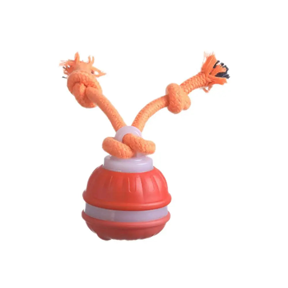 Interactive Dog Toy Ball with Rope Electronic Motion Activated Rolling Ball for Indoor Cat Dog Play Toys for Puppy Training Ball