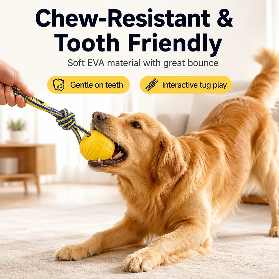 EVA Dog Toy Set Chew-Resistant Ring Flying Disc Rope Ball Tug Strap for Medium Large Dogs Indoor Outdoor Fetch Play Treat Holder