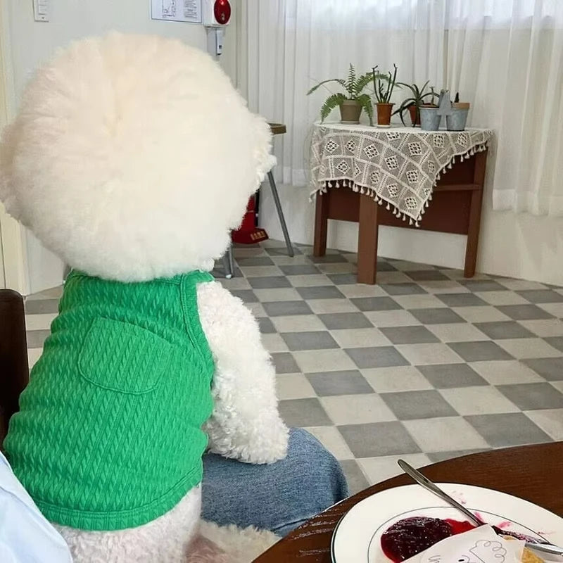 Summer Thin Dog Vest Breathable Dog Clothes For Small Dogs Chihuahua French Bulldog clothing Puppy Clothes Dog Accessories