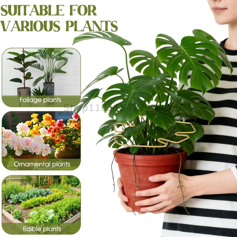 Plant Support for Plants Fixer Flower Stem Gathering Frame Hanging Plant Stand Plants Stabilization Anti-Toppling Fixing