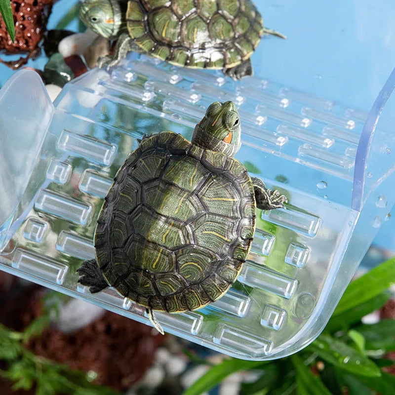 Acrylic Turtle Climbing Basking Tortoise Sun Drying Platform Transparent Turtles Floating Basking Platform with Feeding Area