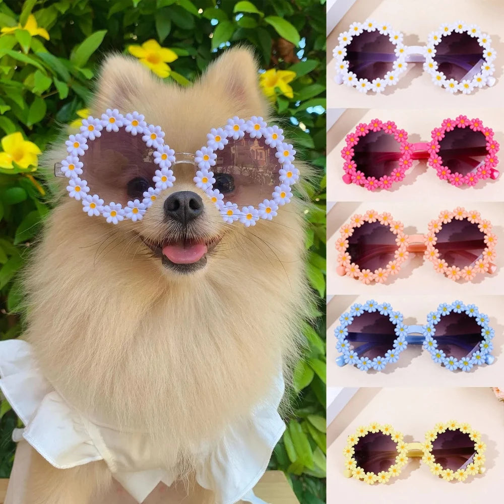 Accessoires pour animaux : lunettes de soleil rondes à fleurs, accessoires de déguisement pour photos pour chats, petits chiens et laisse en paracorde
