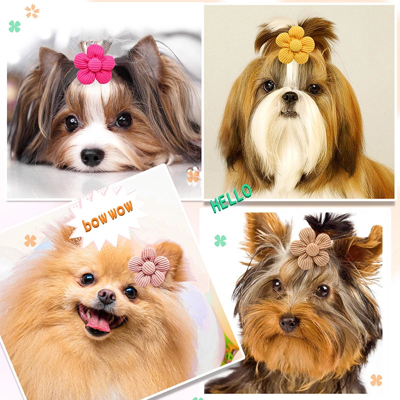10pcs/set  Flower Pet Dog Bow Decoration with Rubber Band Head Flower Puppy Dog Hair Bowknot Grooming Accessories