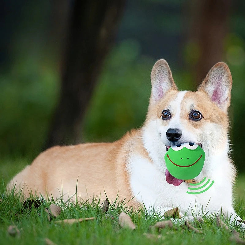 Jouets pour chiens en latex qui couinent - Jouets durables et résistants à la mastication pour le dressage interactif, l'auto-divertissement et soulager l'ennui