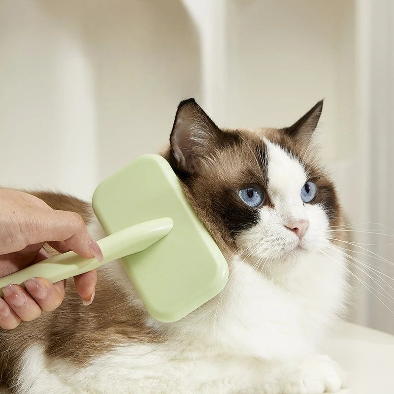 Hondenborstel Harenverwijderaar Massage Kattenborstel Roestvrijstalen kammen voor hondenvachtreiniging Comfortabele handgreep Borstels Dierenverzorging