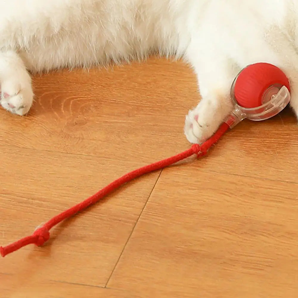 Automatic Rolling Ball Toy For Cat Electric Cat Toy Rolling Ball Pet Electric Toy Cat Training Imitate rats Indoor Playing Toys