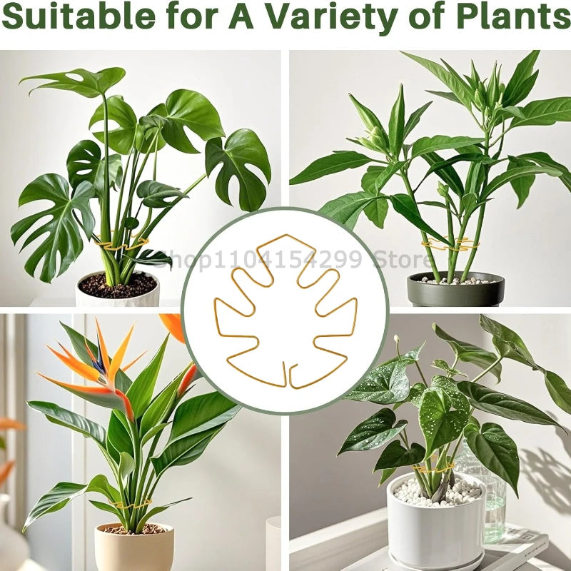 Plant Support for Plants Fixer Flower Stem Gathering Frame Hanging Plant Stand Plants Stabilization Anti-Toppling Fixing