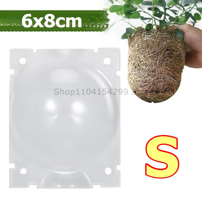 Plant Rooting Ball Grafting Rooting Box Breeding Case High Pressure Plant Root Growing Box for Garden Planting Supply