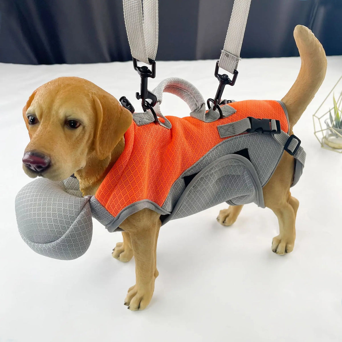 Multifunctional Pet Carrier Bag for Cats Small Dogs Breathable Puppy Four-legged Shoulder Bag Portable Outdoor Walking Dog Bags