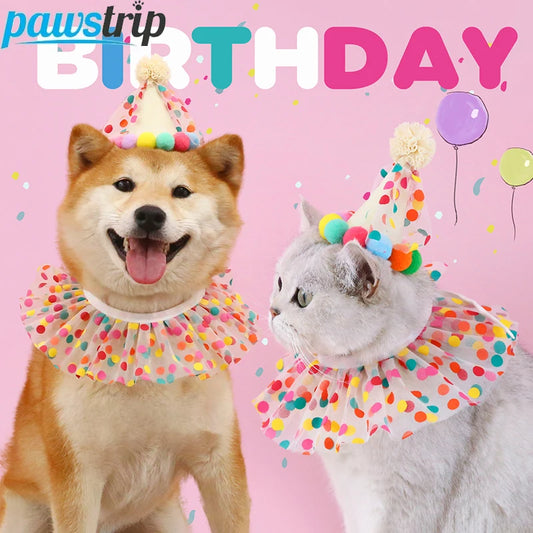 Kleurrijke verjaardagshoed voor hond en kat, verstelbare verjaardagssjaal en hoedenset voor katten, schattig slabbetje voor honden, verkleedhoed voor huisdieren, verjaardagsfeestaccessoires voor honden