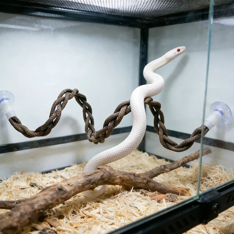 Hanging Snake Climbing Toy with Suction Cup Simulated Tree Vine Lizard Climbing Rope Reptile Habitat Bird Standing Toy