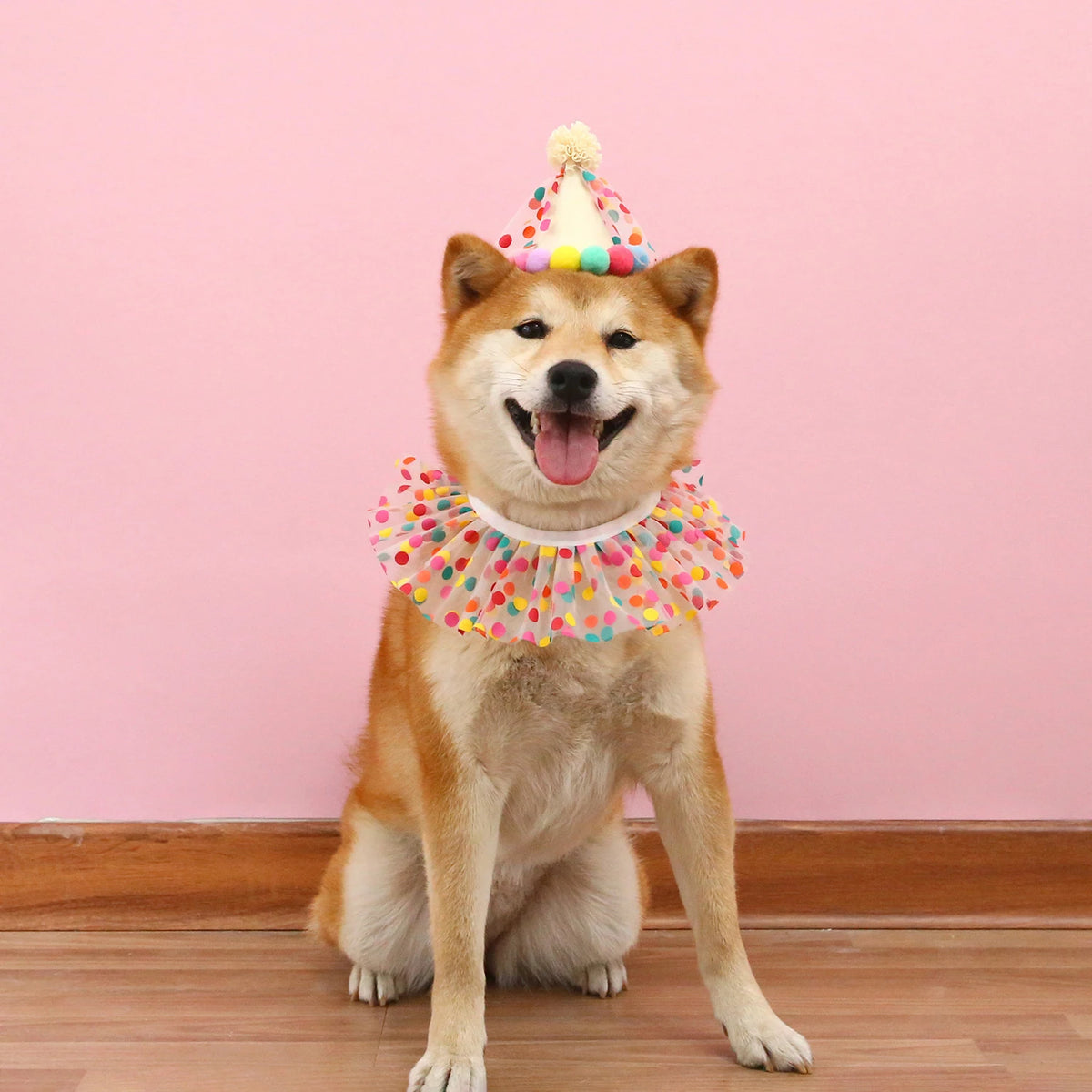 Colorful Dog Cat Birthday Hat Adjustable Cat Birthday Scarf Hat Set Cute Dog Bib Pet Birthday Party Dress Up Hat Dog Accessories