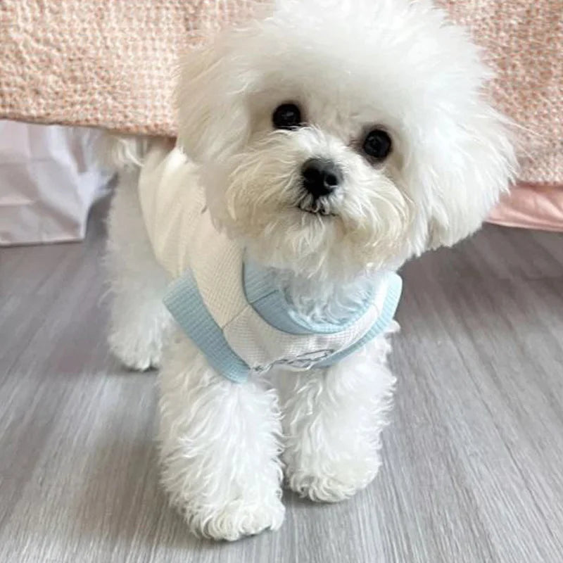 Breathable Dog Vest Spring Summer Pet Clothes for Small Dogs Chihuahua Yorkie Clothing with D-ring Pet Supplies